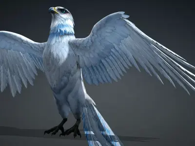 Hawk-A4 3D model