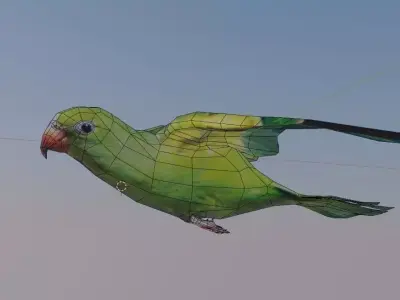 well modeled lowpoly Parrot Low-poly 3D model