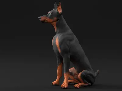 Doberman Pinscher Dog Sits 3D model