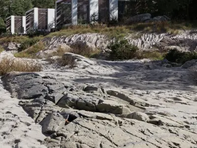  Large Flat Beach Rock Model 