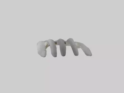 Koala Rib Low-poly 3D model