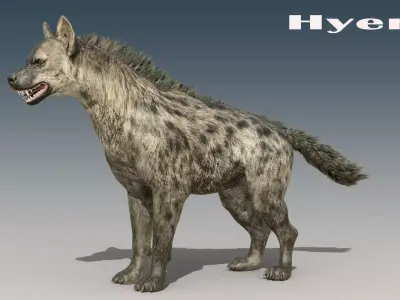 Hyena Rigged Low-poly 3D model