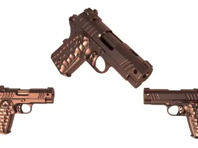 Nighthawk Custom Treasurer 3D print model