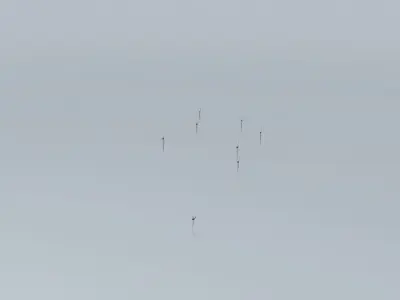 Woolnorth Wind Farm 4 Free 3D model