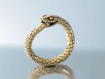 Ring Snake Ouroboros 3D print model