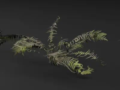 Fern Plant 3D model