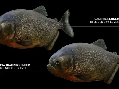 Piranha fish Low-poly 3D model purchase