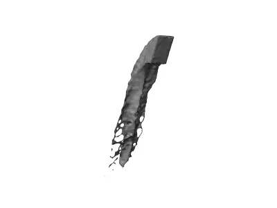 free water liquid Free 3D model