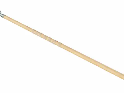 Spear with leaf shaped tip 3D model
