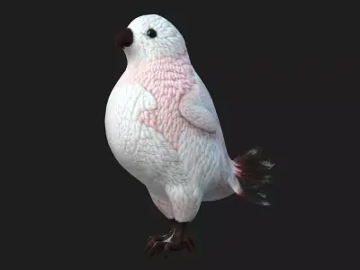 Bird Cute A3 Free low-poly 3D model