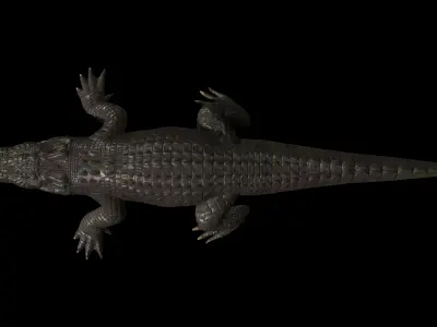 High-Quality Crocodile 3D Model Low Poly  4K PBR Maps Low-poly 3D model