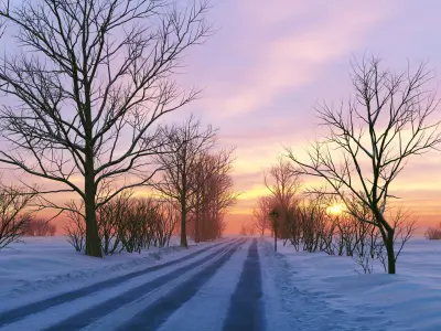  Winter Scene 