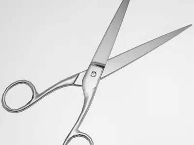 Scissors pair of 3D model 2