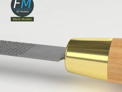 Rasp tool 3D model