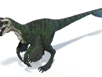 Oviraptor Static 3D model