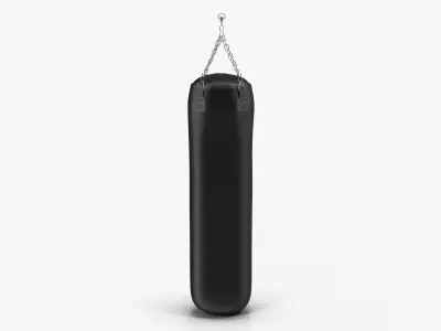 Punching Bag Black Generic Low-poly 3D model