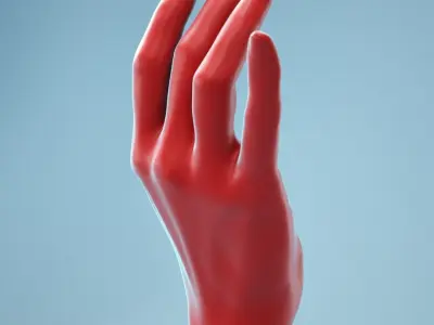 Female Hand 1 3D model