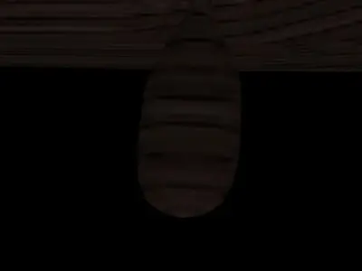 Viking Ship Low-poly 3D model