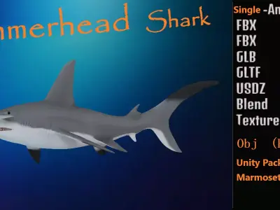 Hammerhead Shark Low-poly 3D model 4