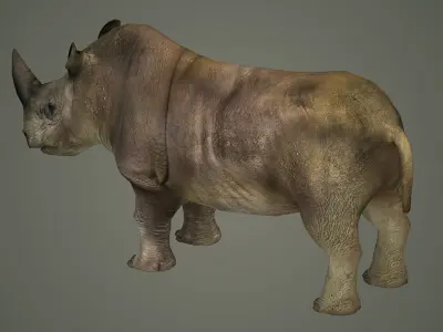 indian rhinoceros mammal rhino animal  3D model
