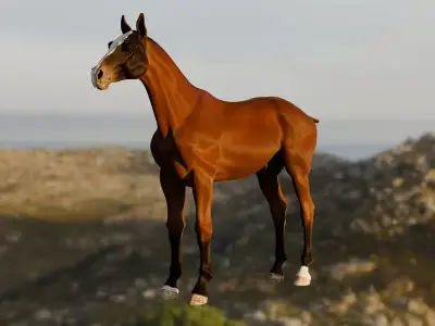 Horse Free low-poly 3D model