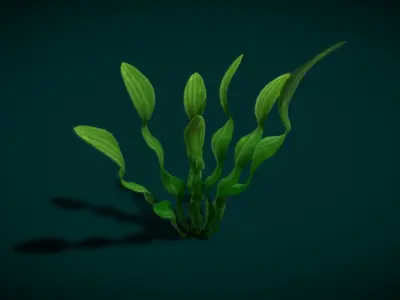 Cartoon Seaweed 10 Low-poly 3D model