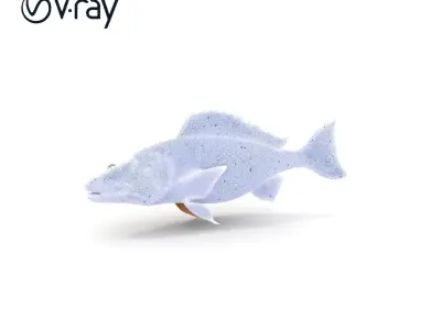 Realistic Fish Model Pack for Aquatic Environments Low-poly 3D model