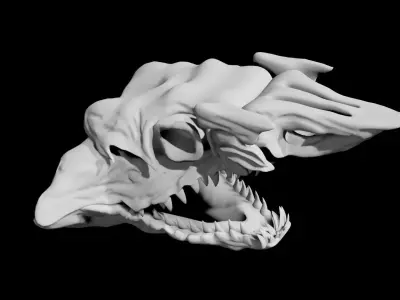 Shark Skull Low-poly 3D model