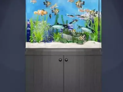 aquarium fish tank 3D model