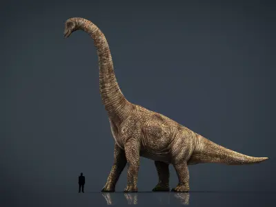 Brachiosaurus dinosaur Low-poly 3D model 2