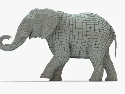 Elephant Rigged Basemesh Low-poly 3D model