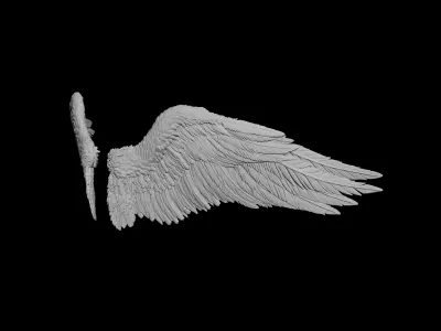wings angel 3D model