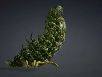Larval-V2d 3D model