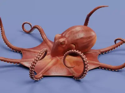 -Giant Pacific Octopus Rigged and Animated- 3D model