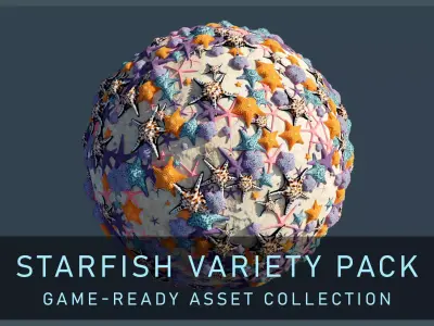 Starfish Variety Pack 4 Low-poly 3D model