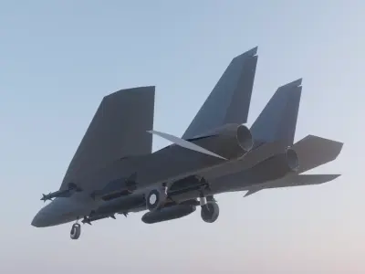 F-14 Tomcat Low-poly 3D model