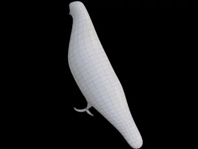 Pigeon Low-poly 3D model purchase