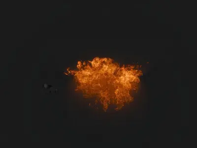 3D Wallfire Animation 3D model buy