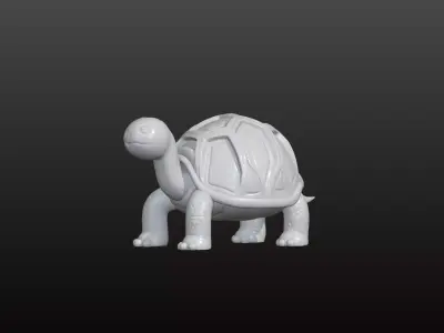 turtle 3D model