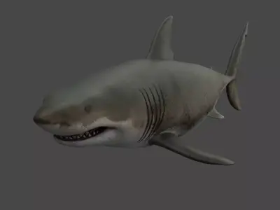 Great White Shark Low-poly 3D model