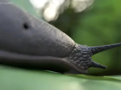  Slug on Foliage Leaf For Blender 
