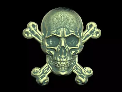 The bas-relief of anatomically correct skulls with the bones 3D print model