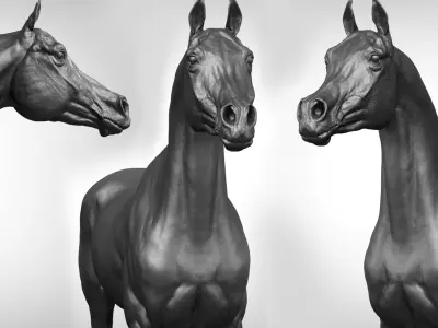  project Arabian horse 