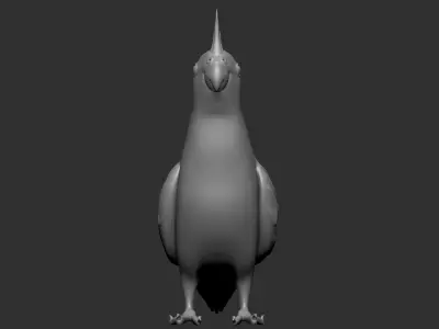 Parrot Low-poly 3D model buy