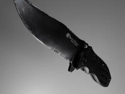 Pocket knife Smith and Wesson swa24s 3D model