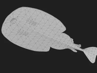 Skate Low-poly 3D model 3