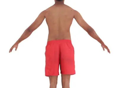 Amit Rigged 012