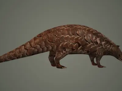 mammal african maya pangolin asian asia animal 3D model
