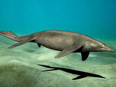 shastasaurus dolphin swimming in ocean 3D model