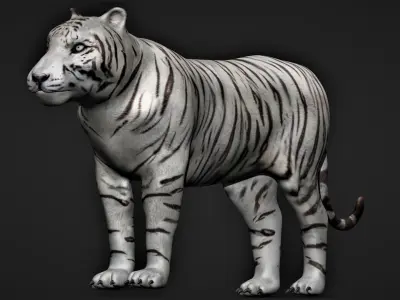 White Tiger 3D model